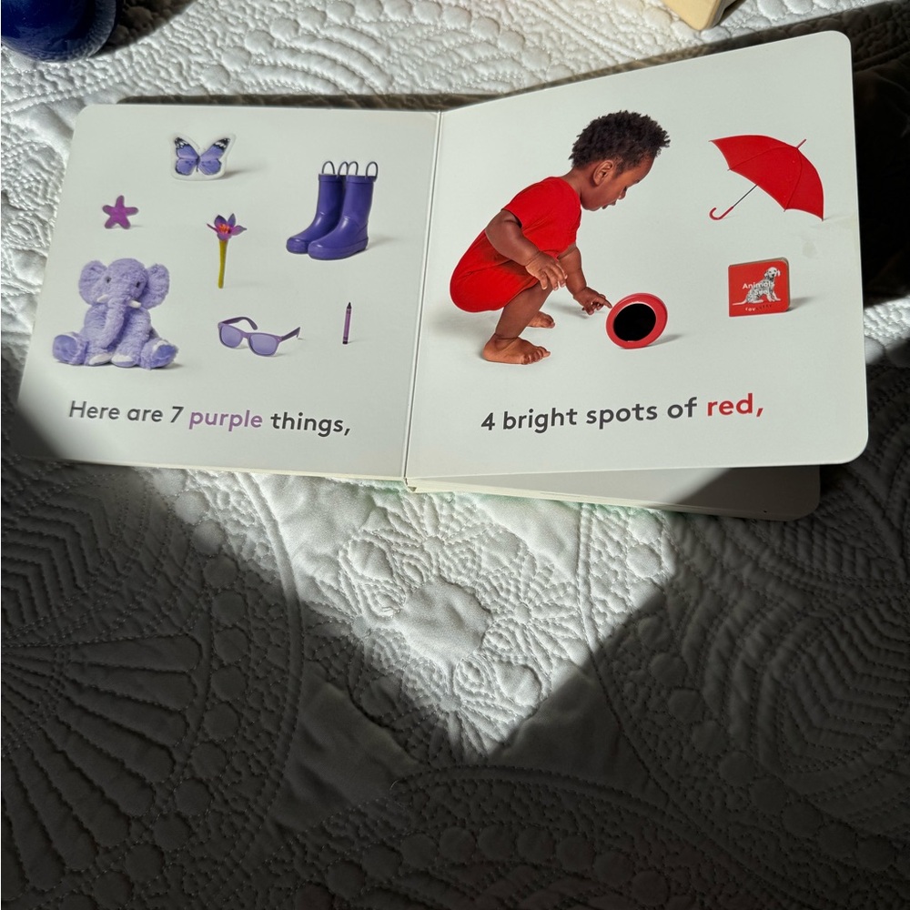 The Thinker Play Kit Lovevery Months 11-12 w extras - Picture 6 of 6